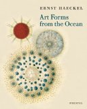 Art Forms In Ocean